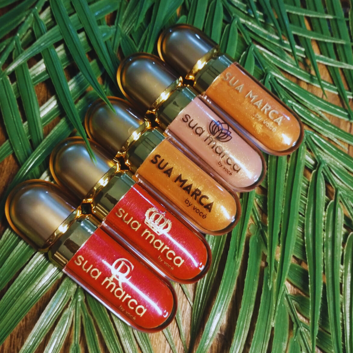 Design sem nome (41)